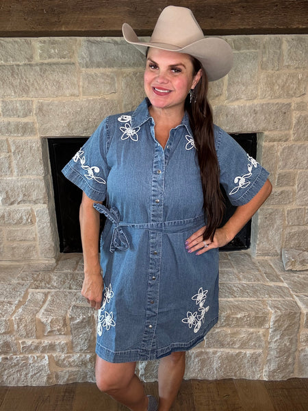 Embroidered Denim Dress Xsmall