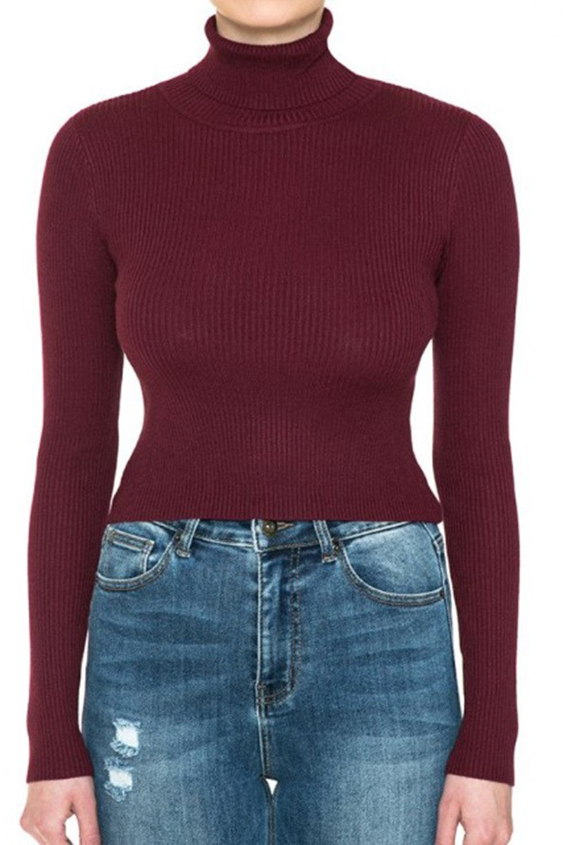Turtleneck Long Sleeve Sweater Crop Top-Sweaters-Up clothing-Small-Burgandy-Inspired Wings Fashion
