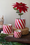 Candy Cane Planter Set-planter-Kalalou-Inspired Wings Fashion