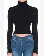 Turtleneck Long Sleeve Sweater Crop Top-Sweaters-Up clothing-Small-Black-Inspired Wings Fashion